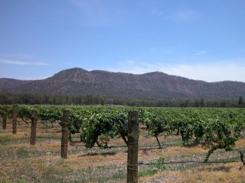 Lots 3 & 4 Broke Road, Pokolbin NSW 2320