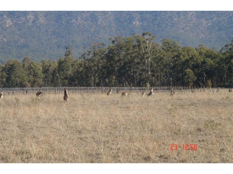 Lots 3 & 4 Broke Road, Pokolbin NSW 2320