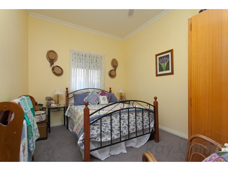 223 Maitland Road, Mayfield NSW 2304