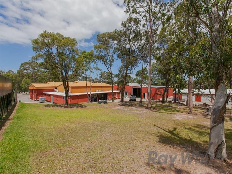 51 Parklea Avenue, Croudace Bay NSW 2280