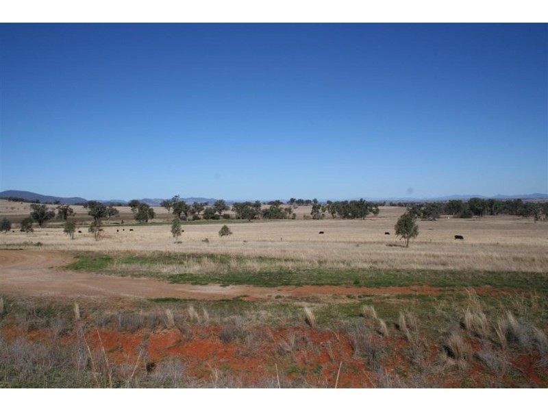 Attunga NSW 2345