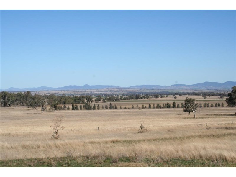 Attunga NSW 2345