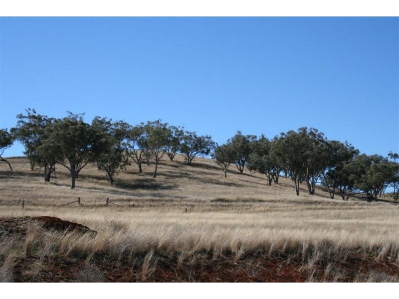 Attunga NSW 2345