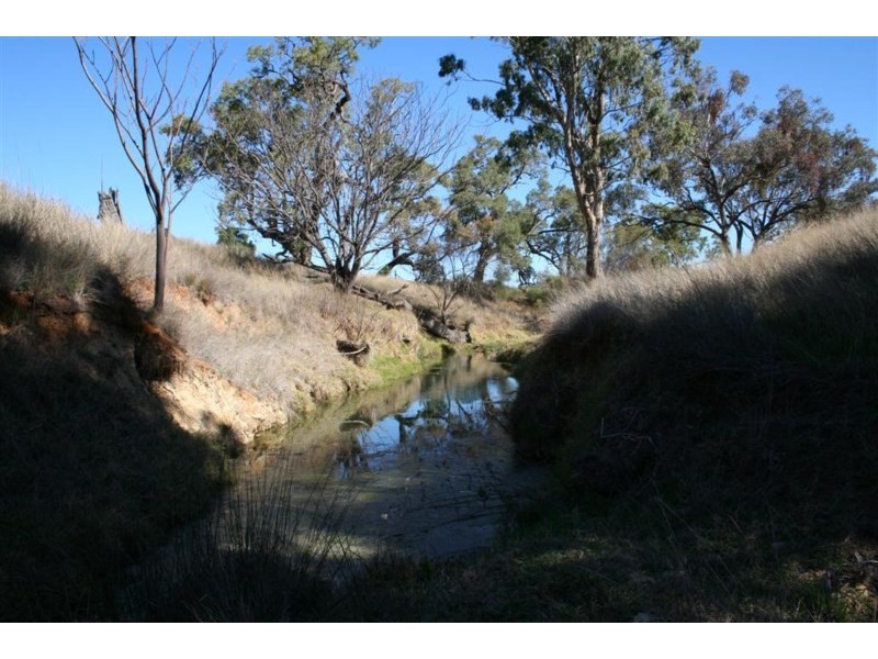 Attunga NSW 2345
