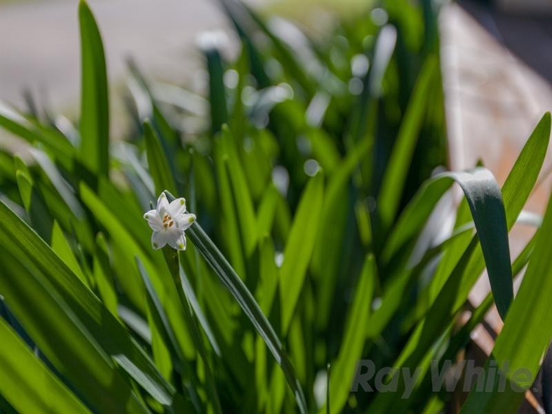 38 Denison Street, Carrington NSW 2294