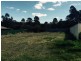 Karuah NSW 2324