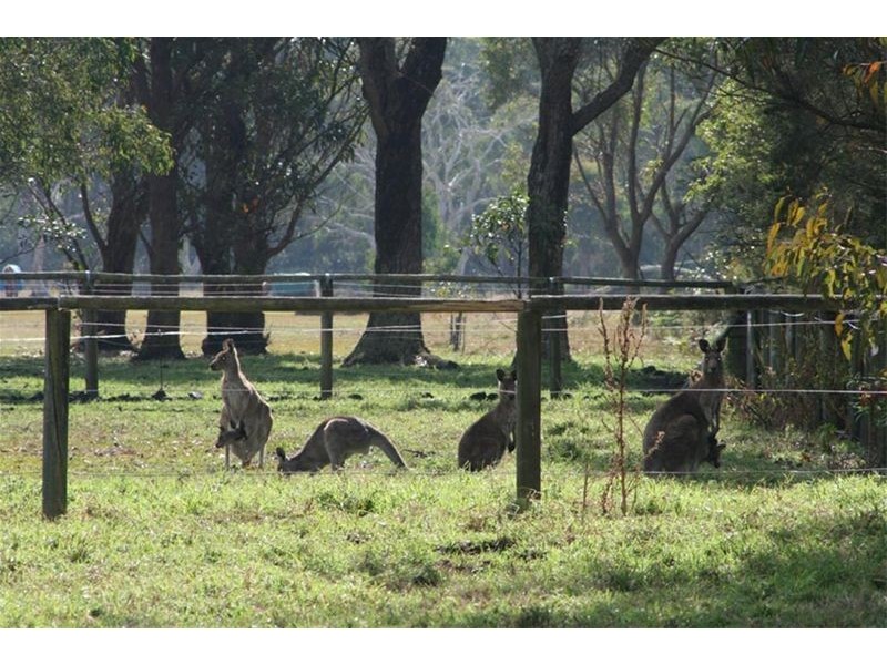 17 Shady Avenue, Salt Ash NSW 2318