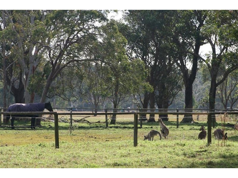 17 Shady Avenue, Salt Ash NSW 2318