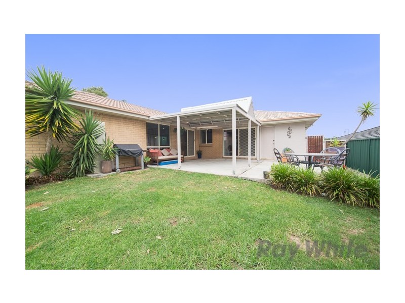 20 Basswood Crescent, Fletcher NSW 2287