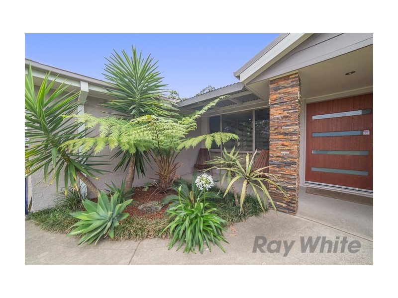 20 Basswood Crescent, Fletcher NSW 2287