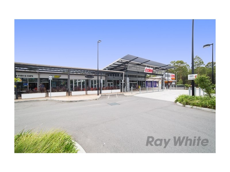 20 Basswood Crescent, Fletcher NSW 2287