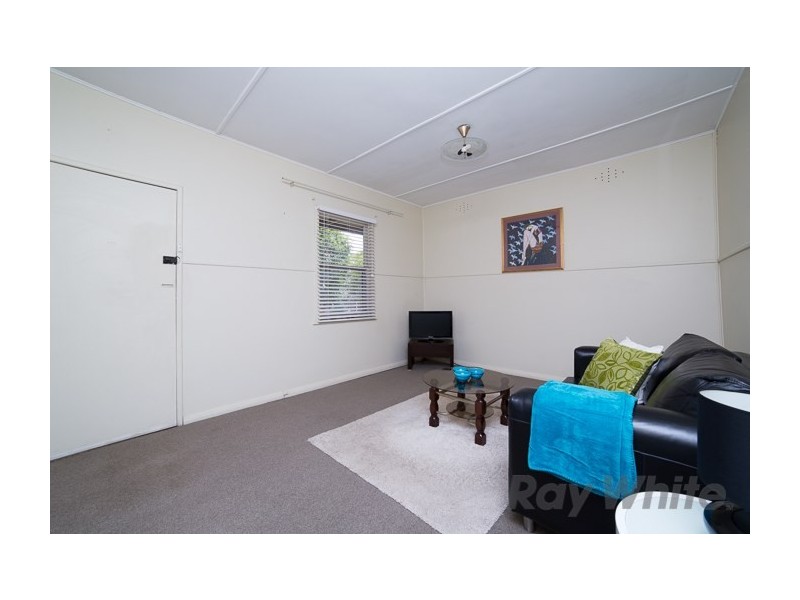 147 Young Road, Lambton NSW 2299