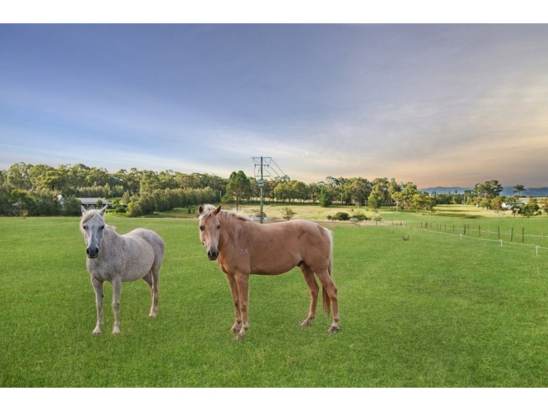 940 Lovedale Road, Lovedale NSW 2325