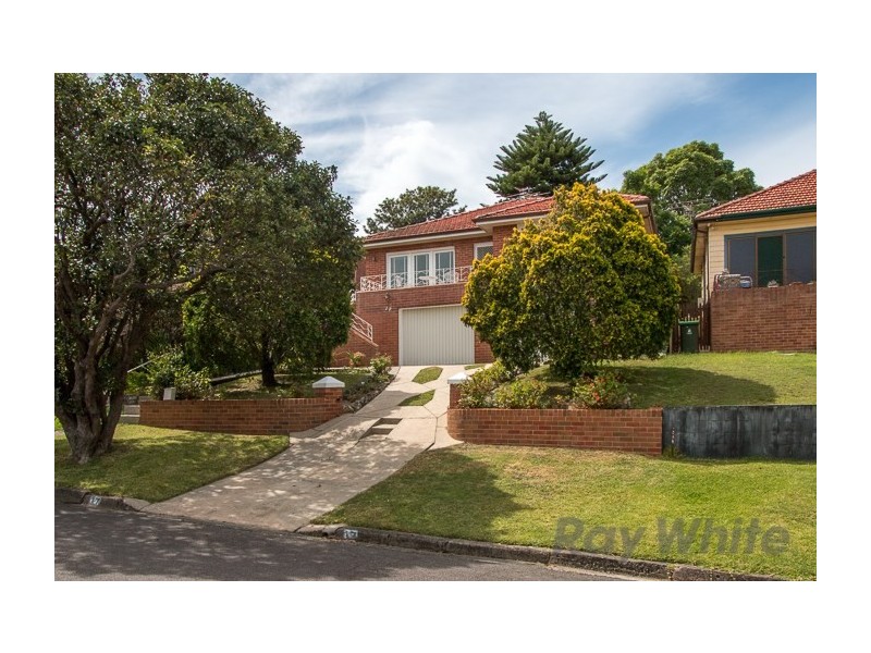 17 Garden Grove Parade, Adamstown Heights NSW 2289