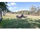 12 Tanna Road, Clarence Town NSW 2321
