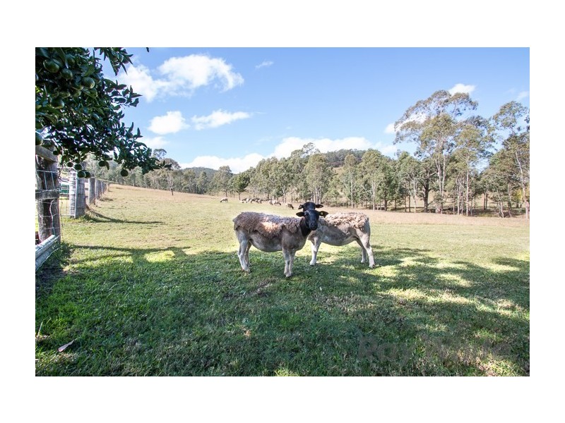 12 Tanna Road, Clarence Town NSW 2321