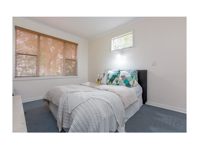 23 Lees Street, Charlestown NSW 2290