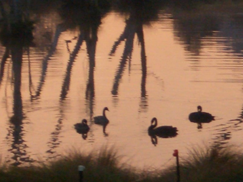 63 Williams River Close, Clarence Town NSW 2321