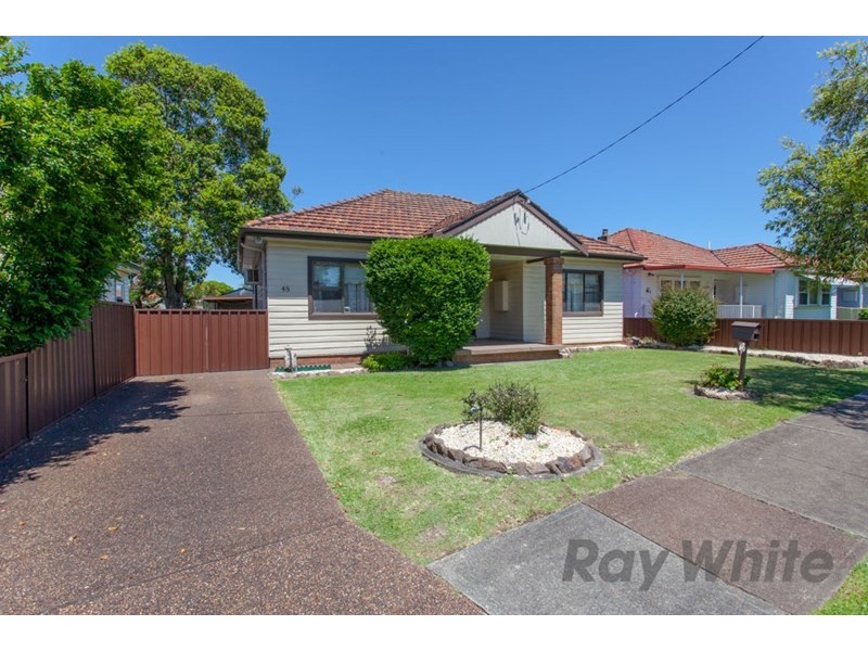 48 Gregson Avenue, Mayfield NSW 2304