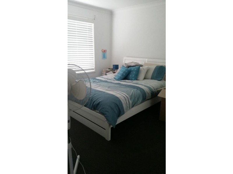 24 Harriet Street, Wallsend NSW 2287