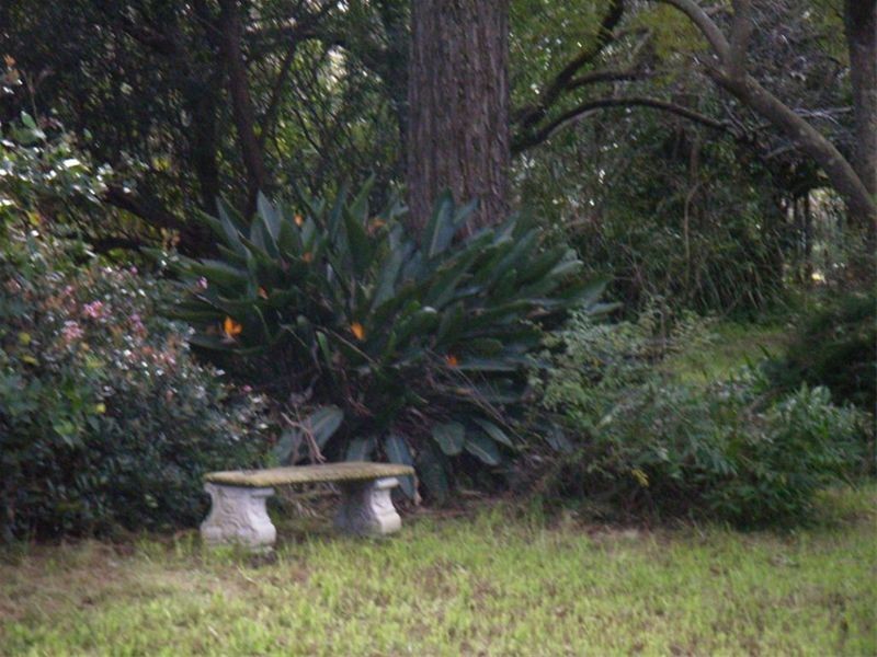 12 Westbourne Road, Bolwarra NSW 2320