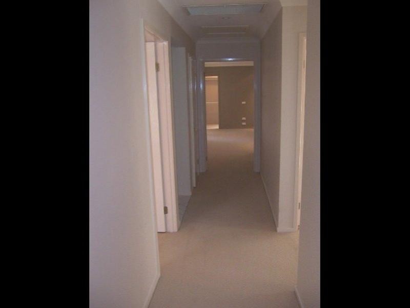 11 Smokebush Place, Garden Suburb NSW 2289