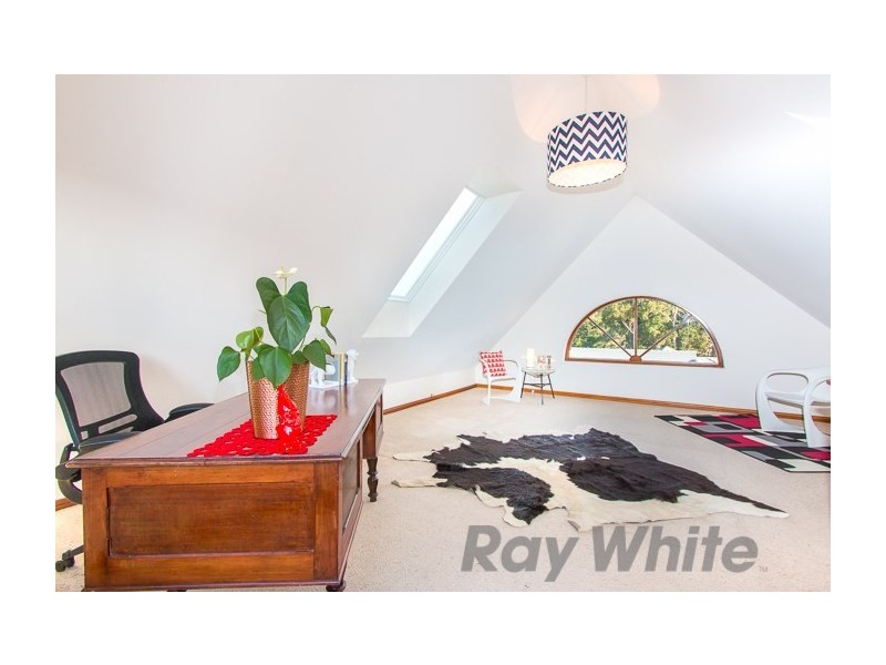 1 Pangari Place, Lambton NSW 2299