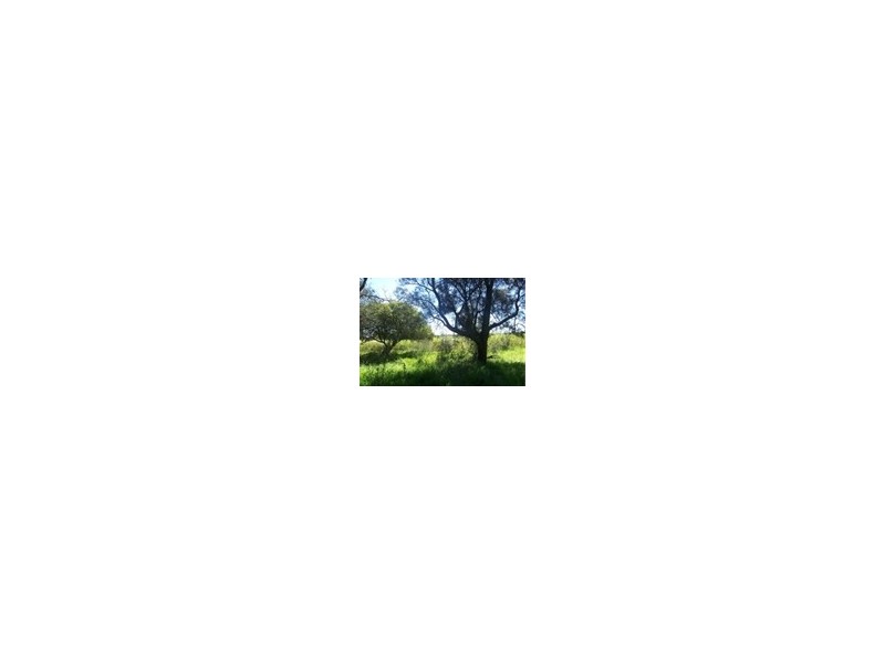 118 Port Stephens Street, Raymond Terrace NSW 2324