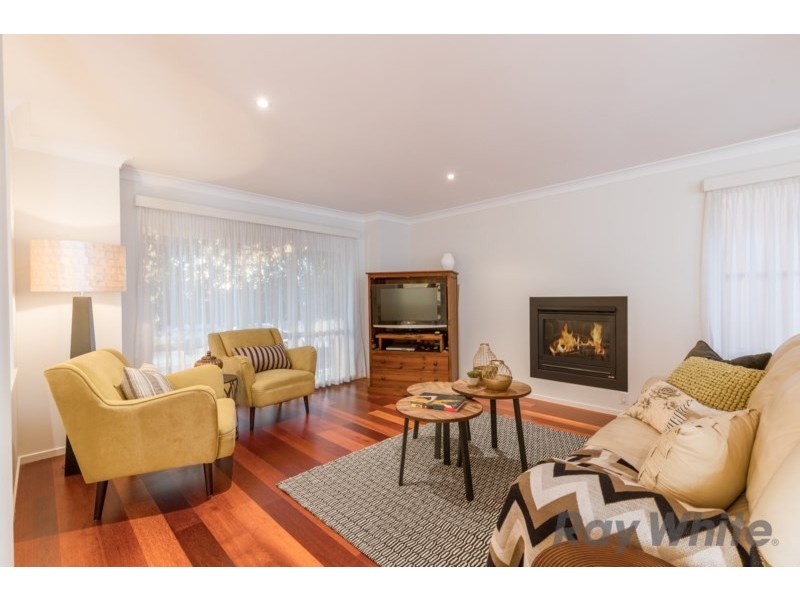 17 Regan Street, Adamstown NSW 2289