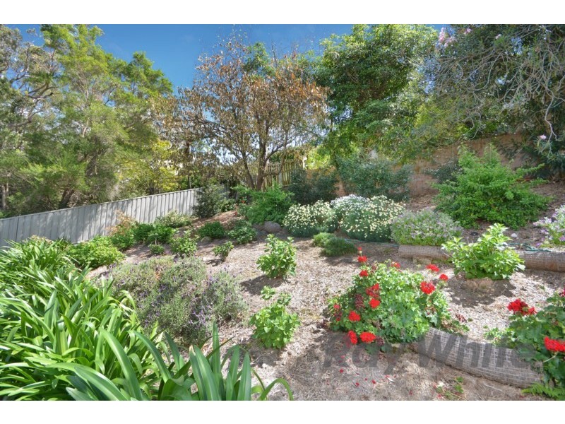 18 Floralia Close, New Lambton Heights NSW 2305