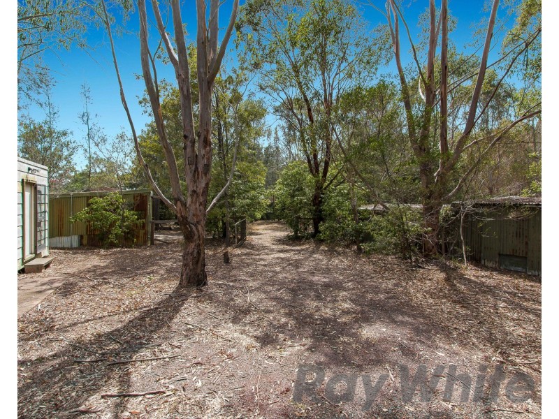 442 Louth Park Road, Louth Park NSW 2320