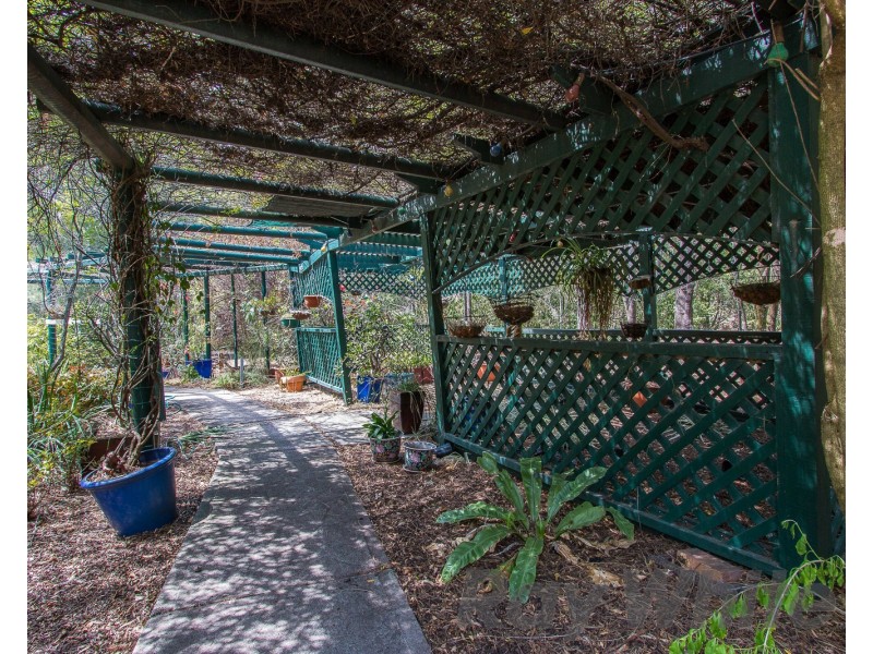 442 Louth Park Road, Louth Park NSW 2320