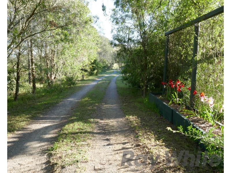 442 Louth Park Road, Louth Park NSW 2320