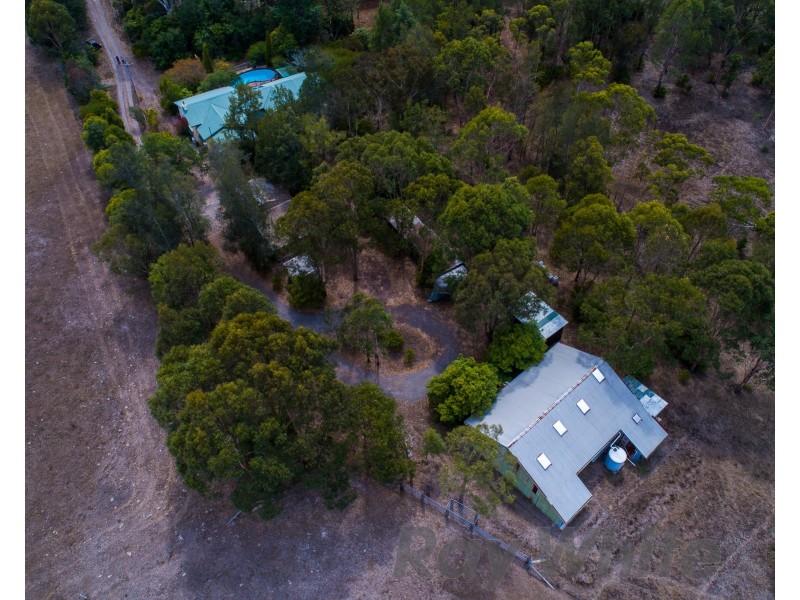 442 Louth Park Road, Louth Park NSW 2320