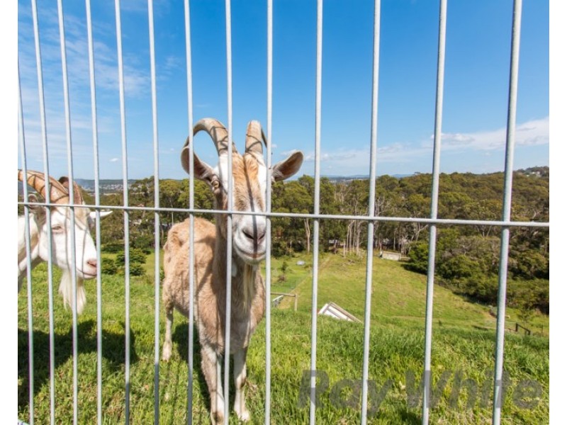 39 Bulls Garden Road, Whitebridge NSW 2290