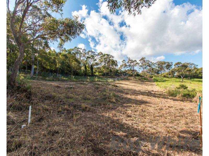 Lot 2 Kariboo Lane, Mount Hutton NSW 2290