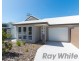 34 Blantyre Street, Macquarie Hills NSW 2285