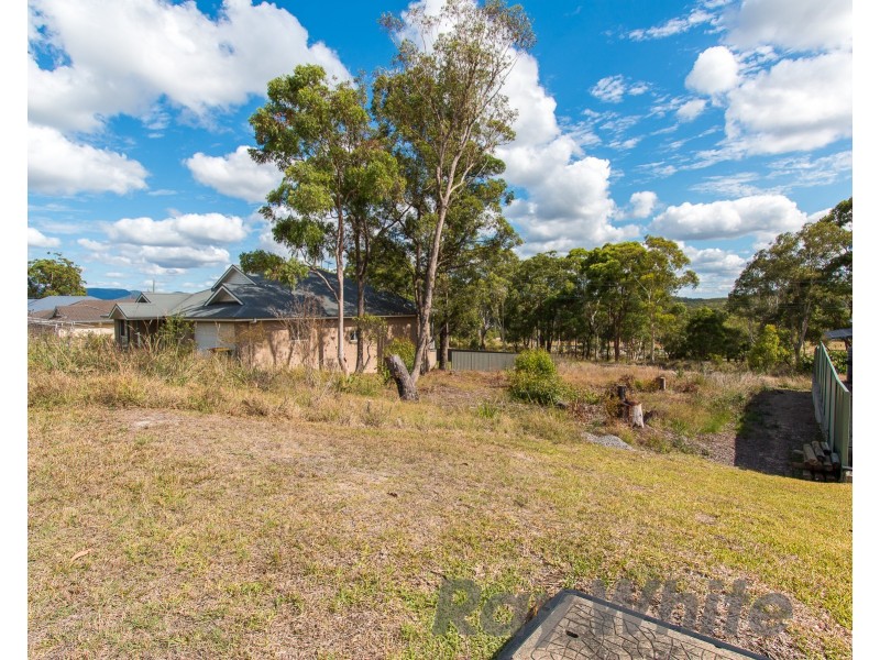 14 Cockatiel Street, Toronto NSW 2283