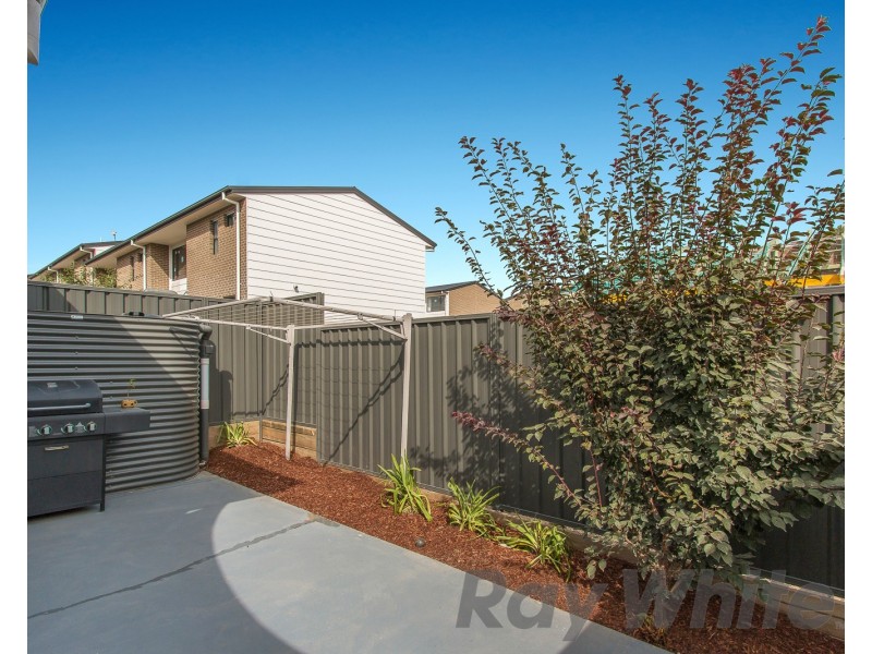 24/49 Mawson Street, Shortland NSW 2307