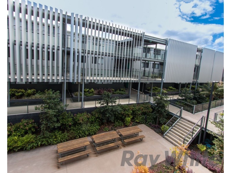 233/125 Union Street, Cooks Hill NSW 2300