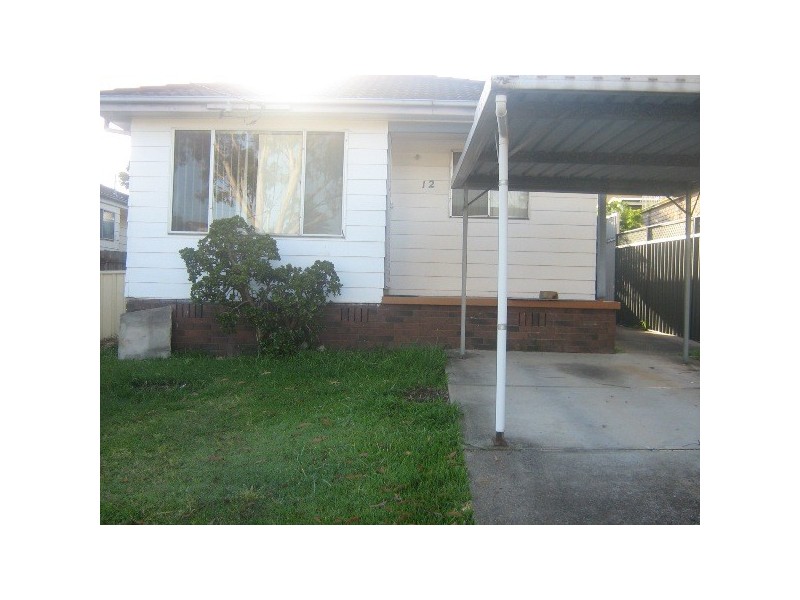 12 Thomas Street, Dudley NSW 2290