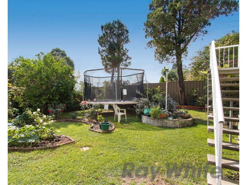 52 Abbott Street, Wallsend NSW 2287