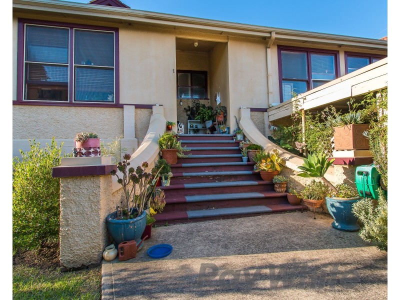 1 Buruda Street, Mayfield West NSW 2304