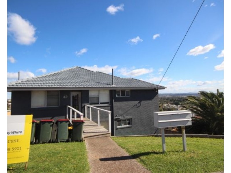 3/42 Lemnos Parade, The Hill NSW 2300