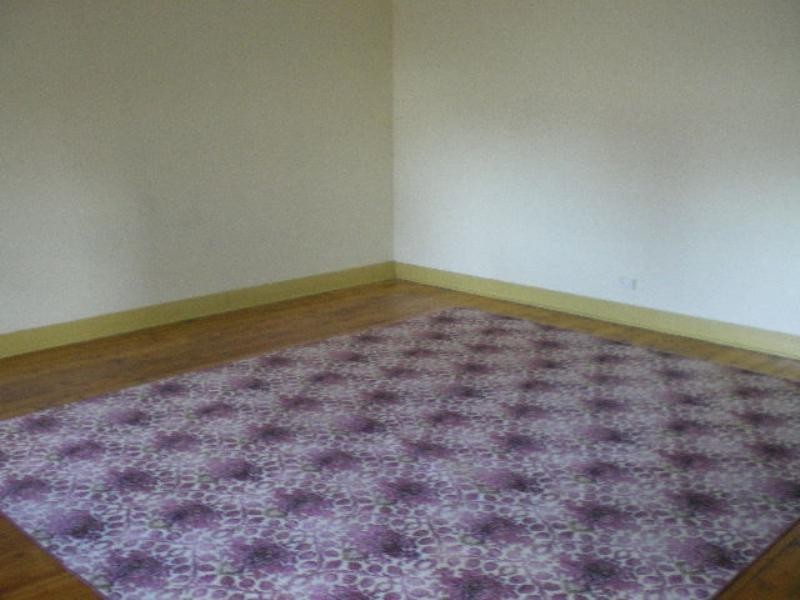 Flat 250 Maitland Road, Mayfield NSW 2304