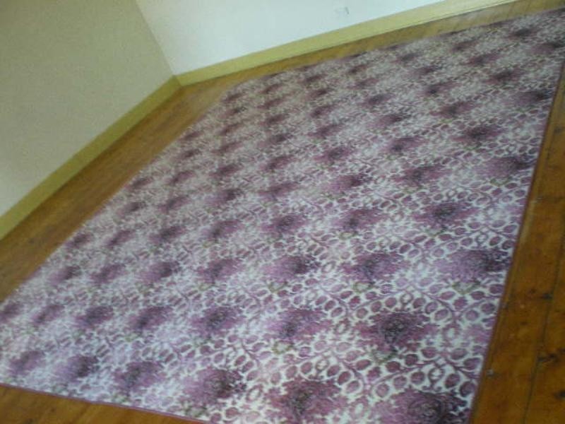 Flat 250 Maitland Road, Mayfield NSW 2304