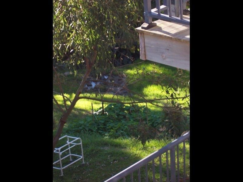 16 Sherburn Cresent, Charlestown NSW 2290