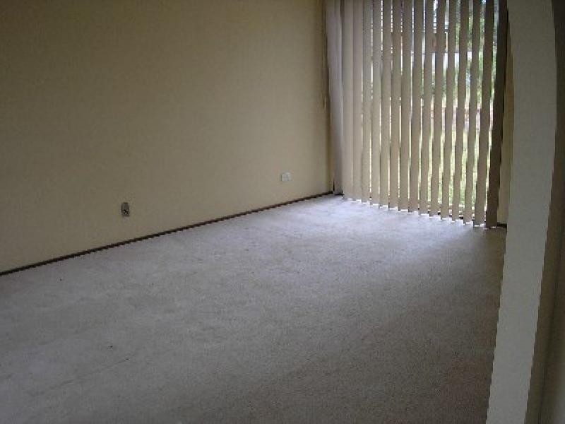 5 Floribunda Close, Warabrook NSW 2304