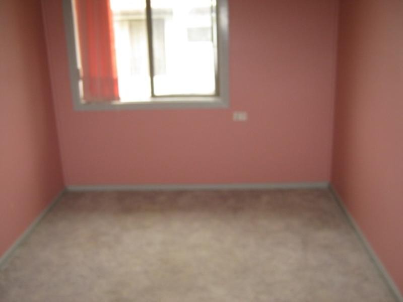 10 Mallee Street, Gateshead NSW 2290