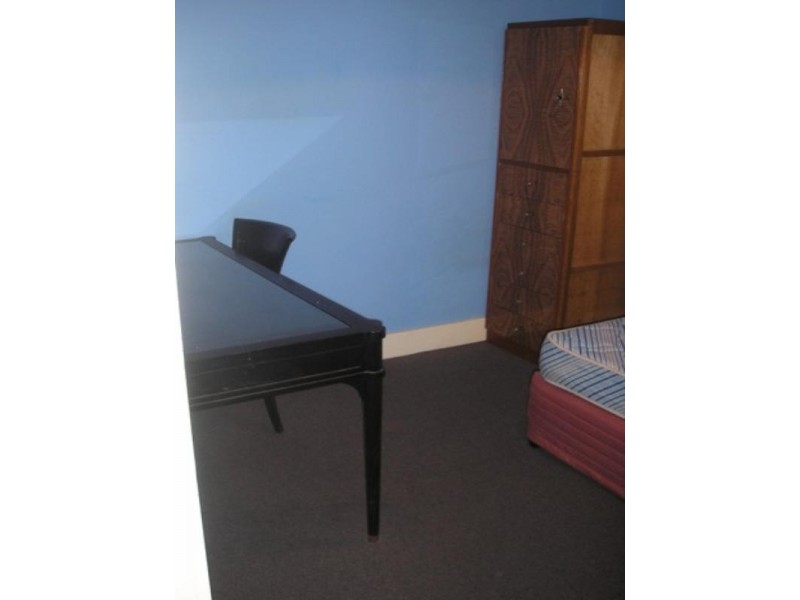 19 Braye Street, Mayfield NSW 2304